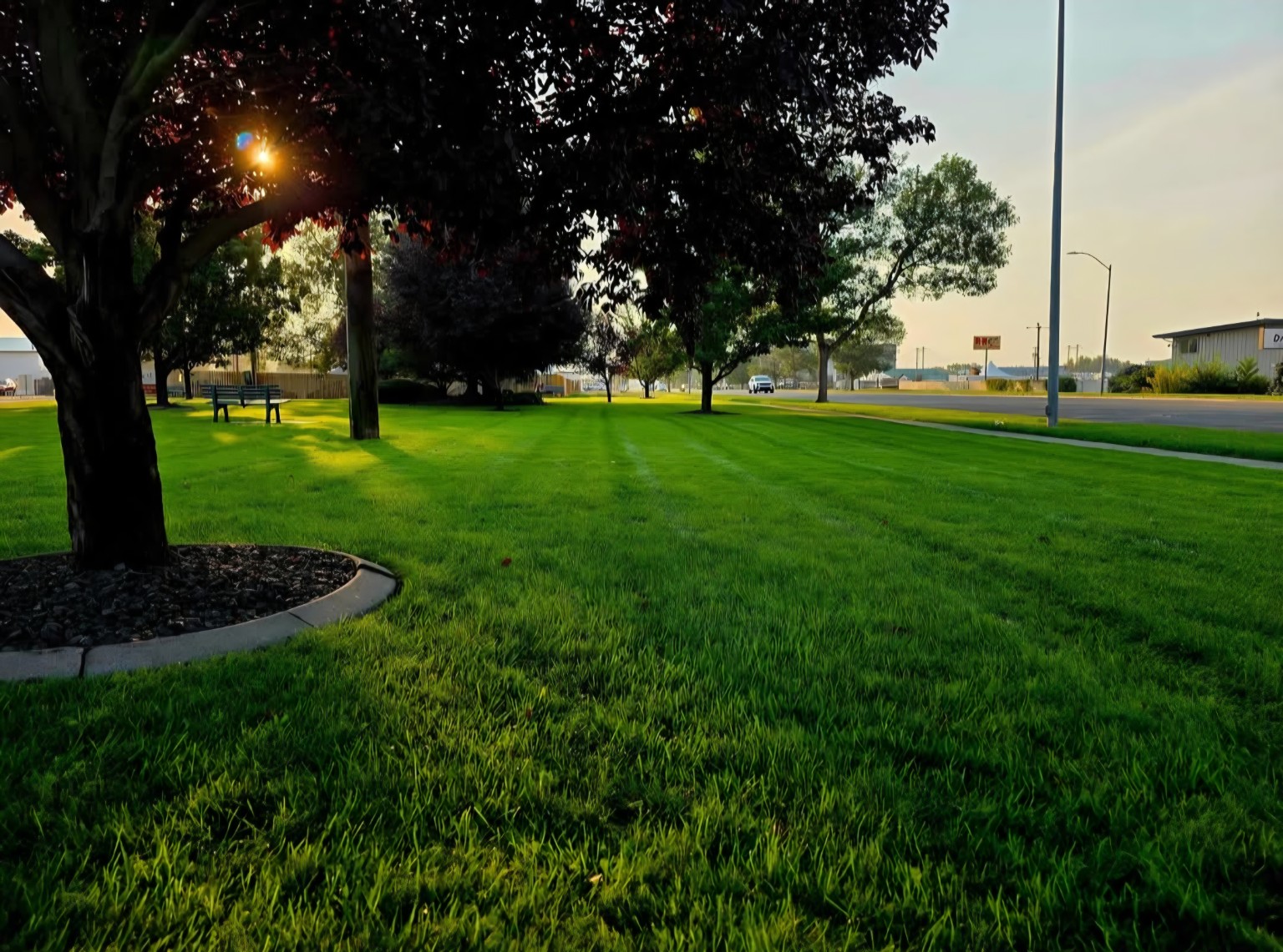 Commercial lawn care