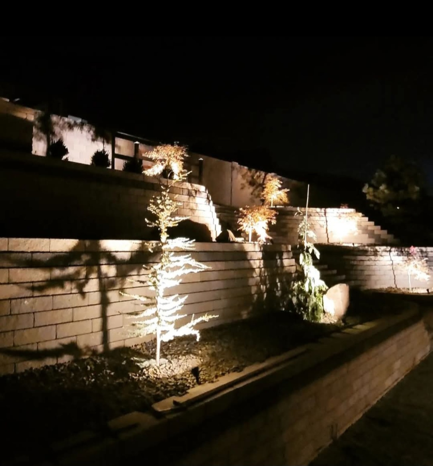 Landscape Lighting